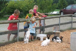 Der Waldhof in Hittnau, Ihr Traumziel für Camping mit Kindern in der Schweiz.